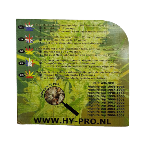Original Amnesia Regular Hy-Pro (Pack 10 semillas)